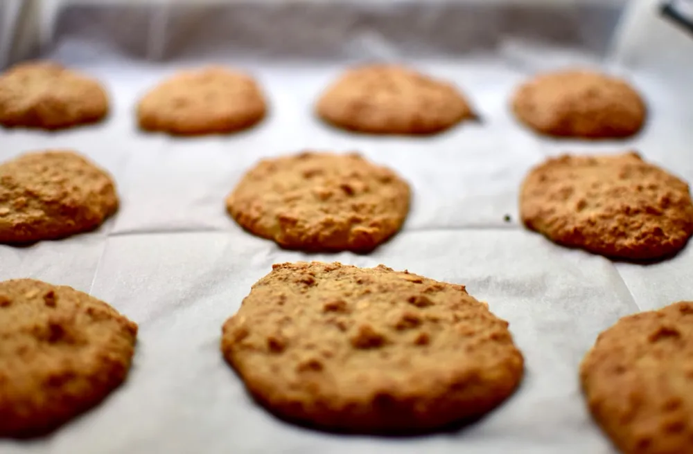 Whole Grain Oatmeal Cookies